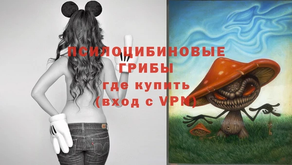 дмт Абдулино