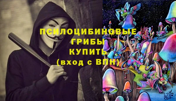 СК Абаза