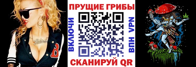 Галлюциногенные грибы прущие грибы  Ялта 