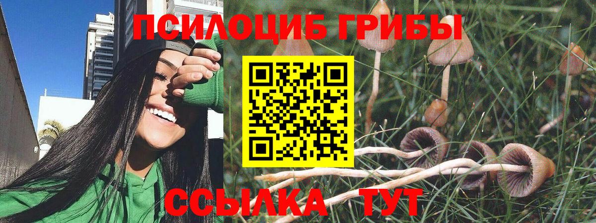 Галлюциногенные грибы мухоморы  Вход с VPN  Галлюциногенные грибы GOLDEN TEACHER  цена наркотик  Ялта 